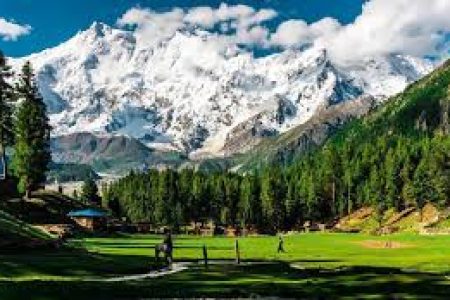 Fairy Meadows Base Camp