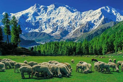 Fairymeadow Pakistan