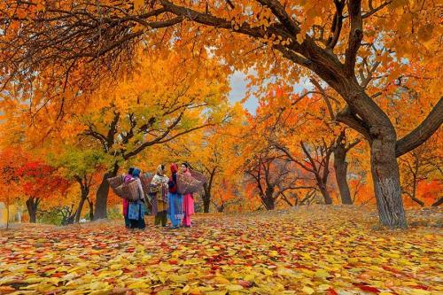 Hunza valley Karimabad
