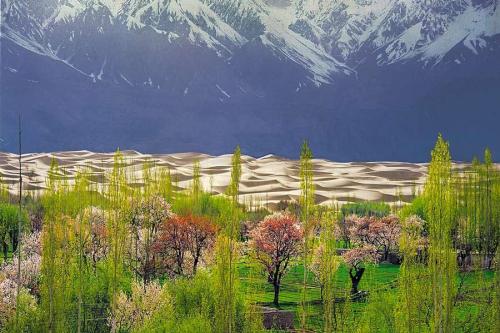 SKARDU