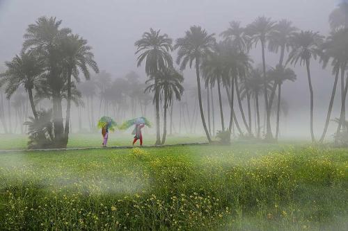 South Punjab